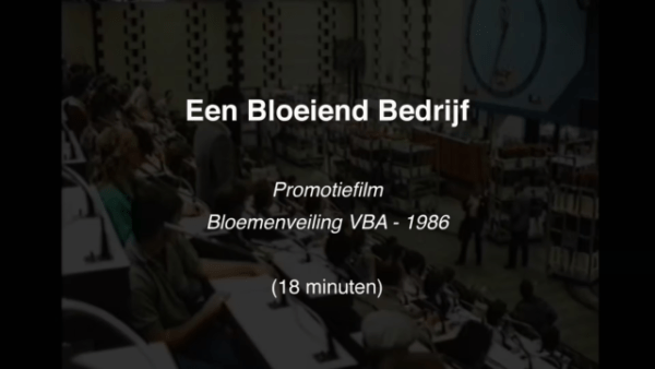 05-Films Van De Maand 2022 – Q3 - Afbeelding 3