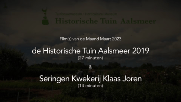 07-Films Van De Maand 2023 – Q1 - Afbeelding 2