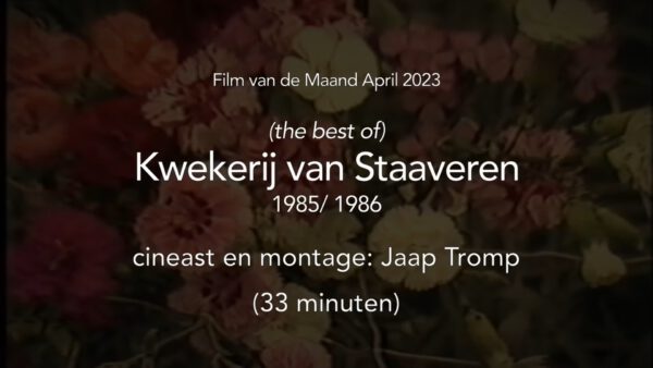 08-Films Van De Maand 2023 – Q2 - Afbeelding 2