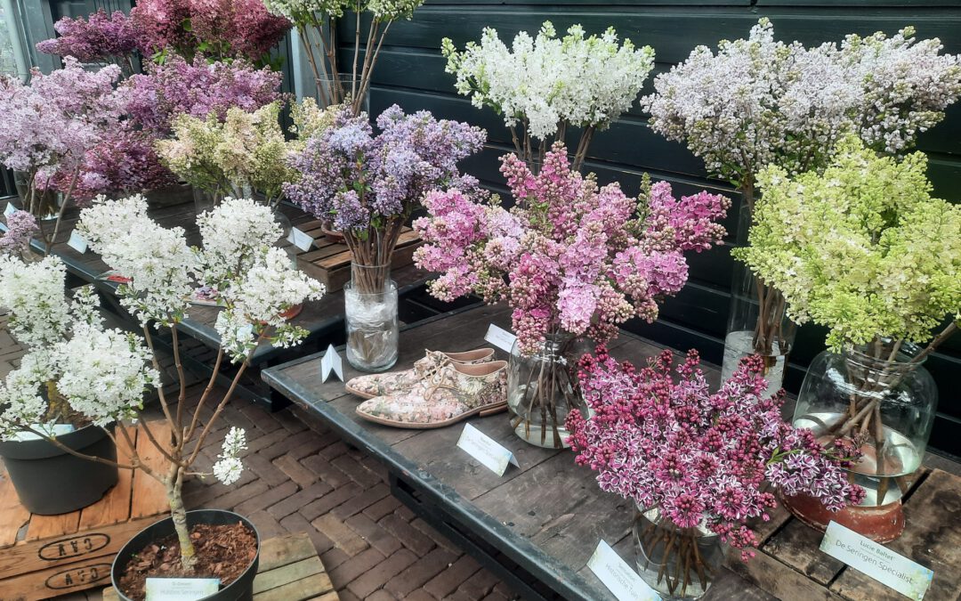 Seringenweekend Historische Tuin 4 t/m 6 april