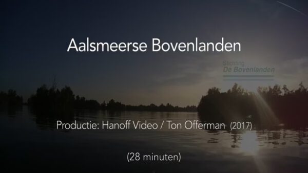 13-Films Van De Maand 2024 – Q3