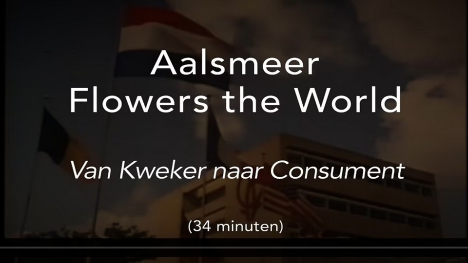 15-Films Van De Maand 2025 – Q1 3 15-Films Van De Maand 2025 – Q1 - Afbeelding 3
