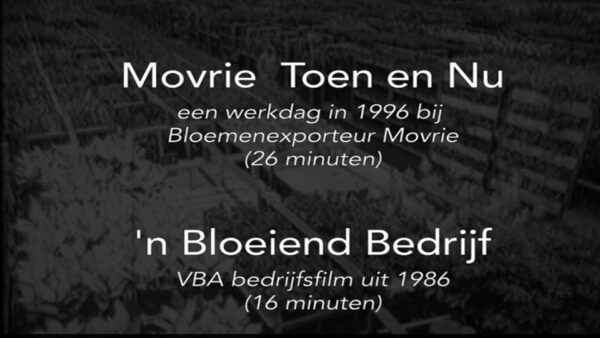 14-Films Van De Maand 2024 – Q4 - Afbeelding 2