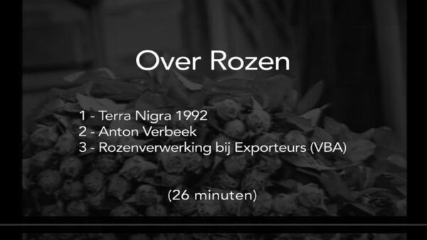 16-Films Van De Maand 2025 – Q2 - Afbeelding 3