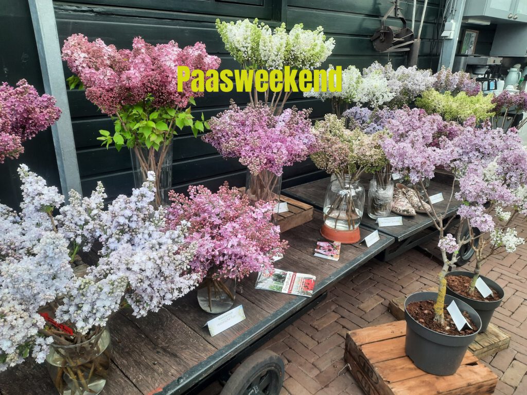 20230422 114403 Pasen