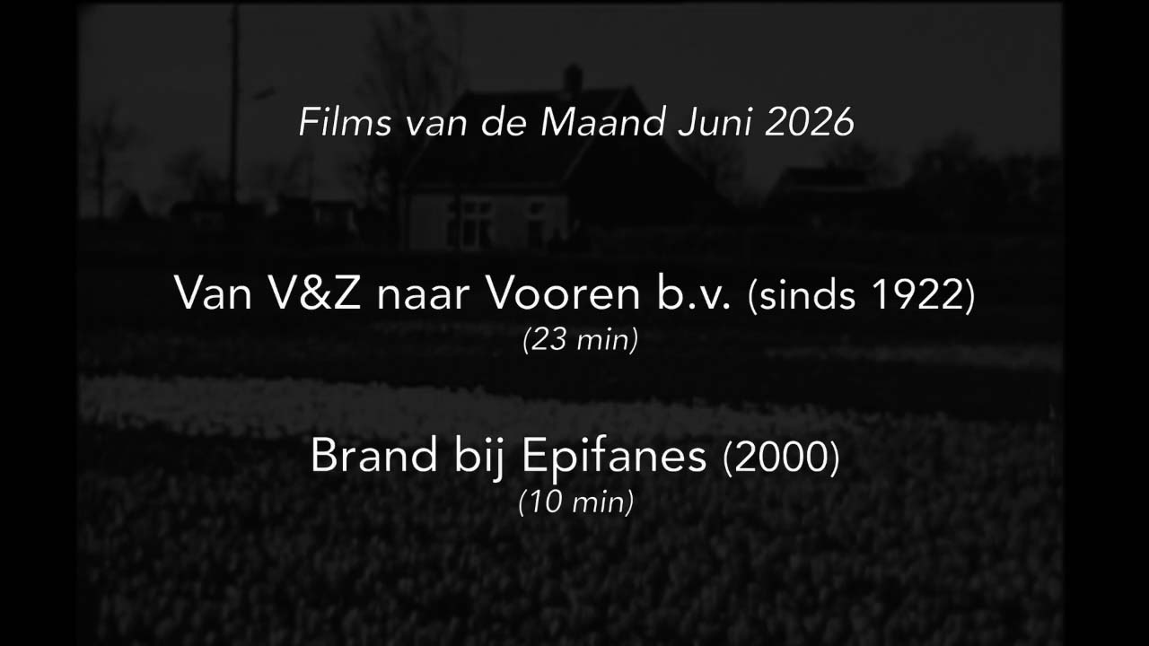 19-Films Van De Maand 2026 – Q2 3 19-Films Van De Maand 2026 – Q2 - Afbeelding 3